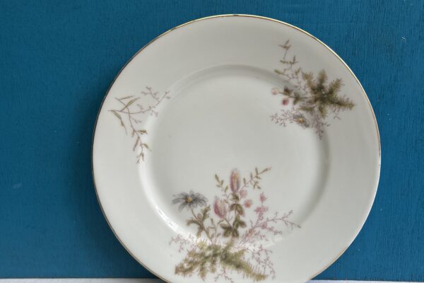 antiek dinerbord D.F.B. 1900
