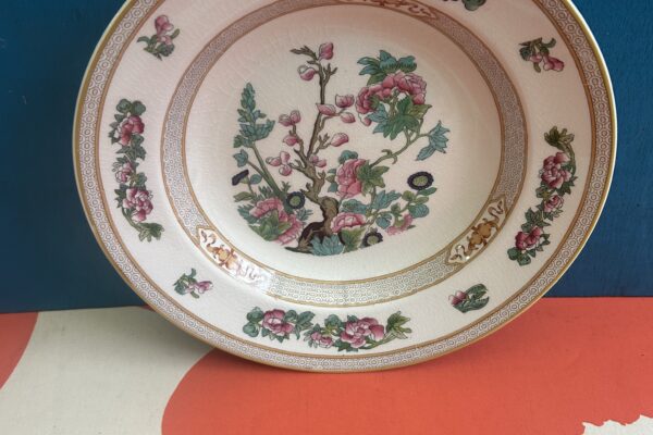 Diep bord Myott Sons and Co, Indian Tree