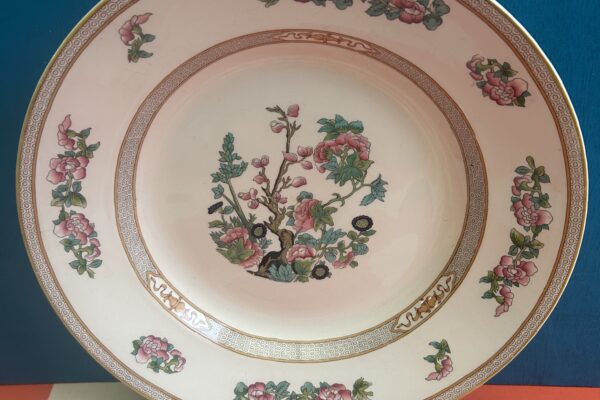 Dinerbord Myott Sons and Co, Indian Tree