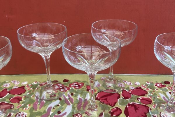 5 x kristallen champagne coupe